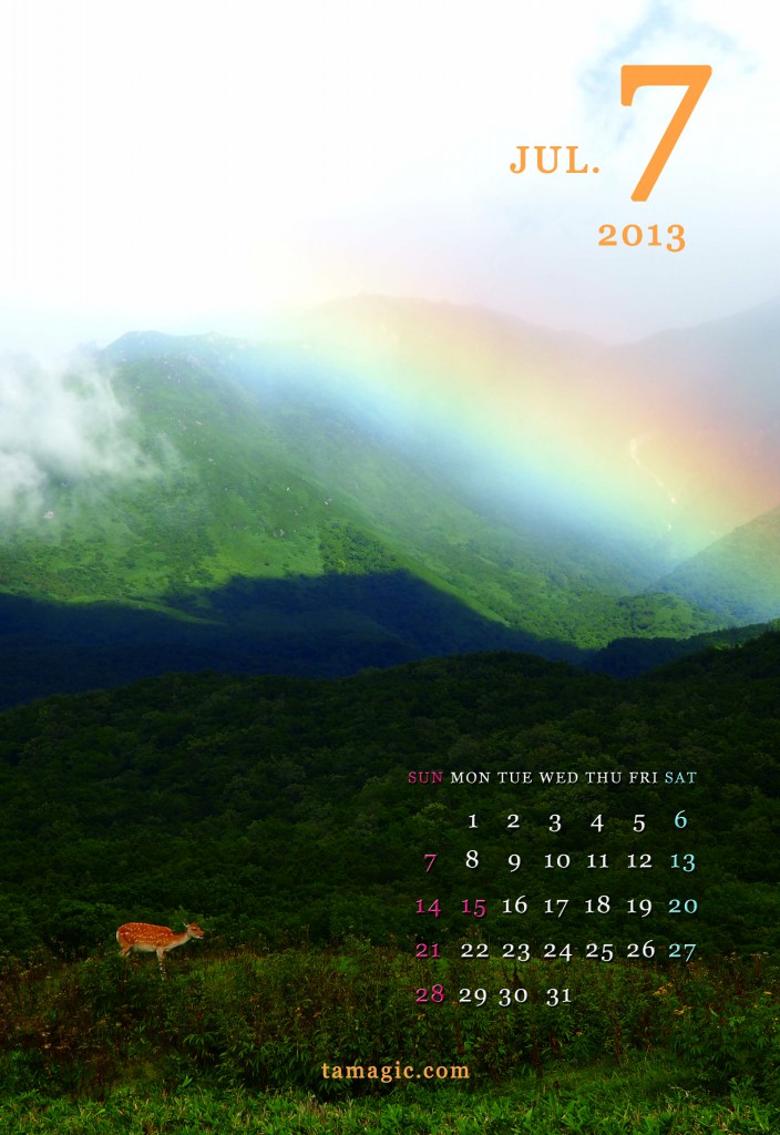 tamagic2013_7鹿と虹
