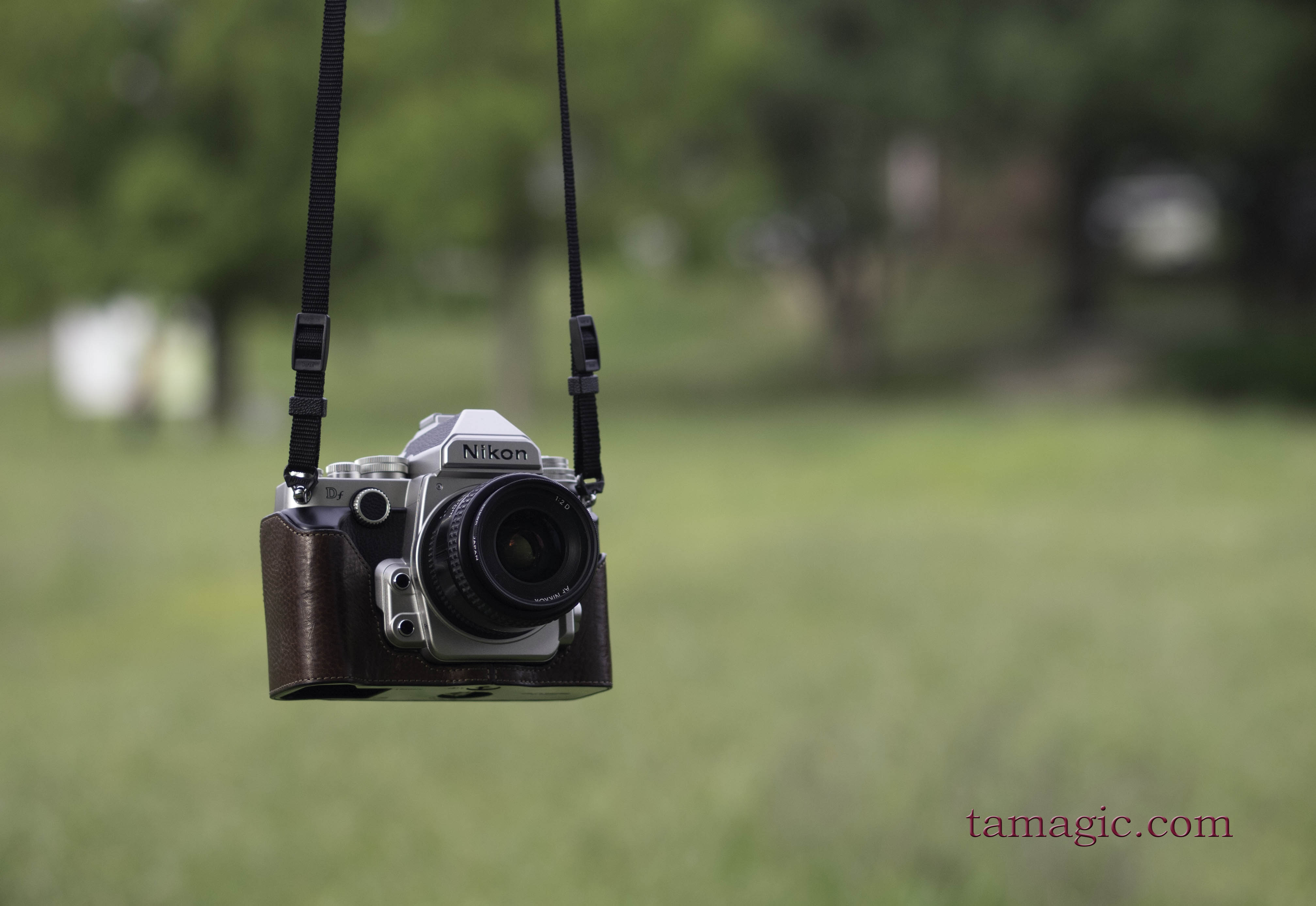 Nikon Df Tamagicのphotoblog