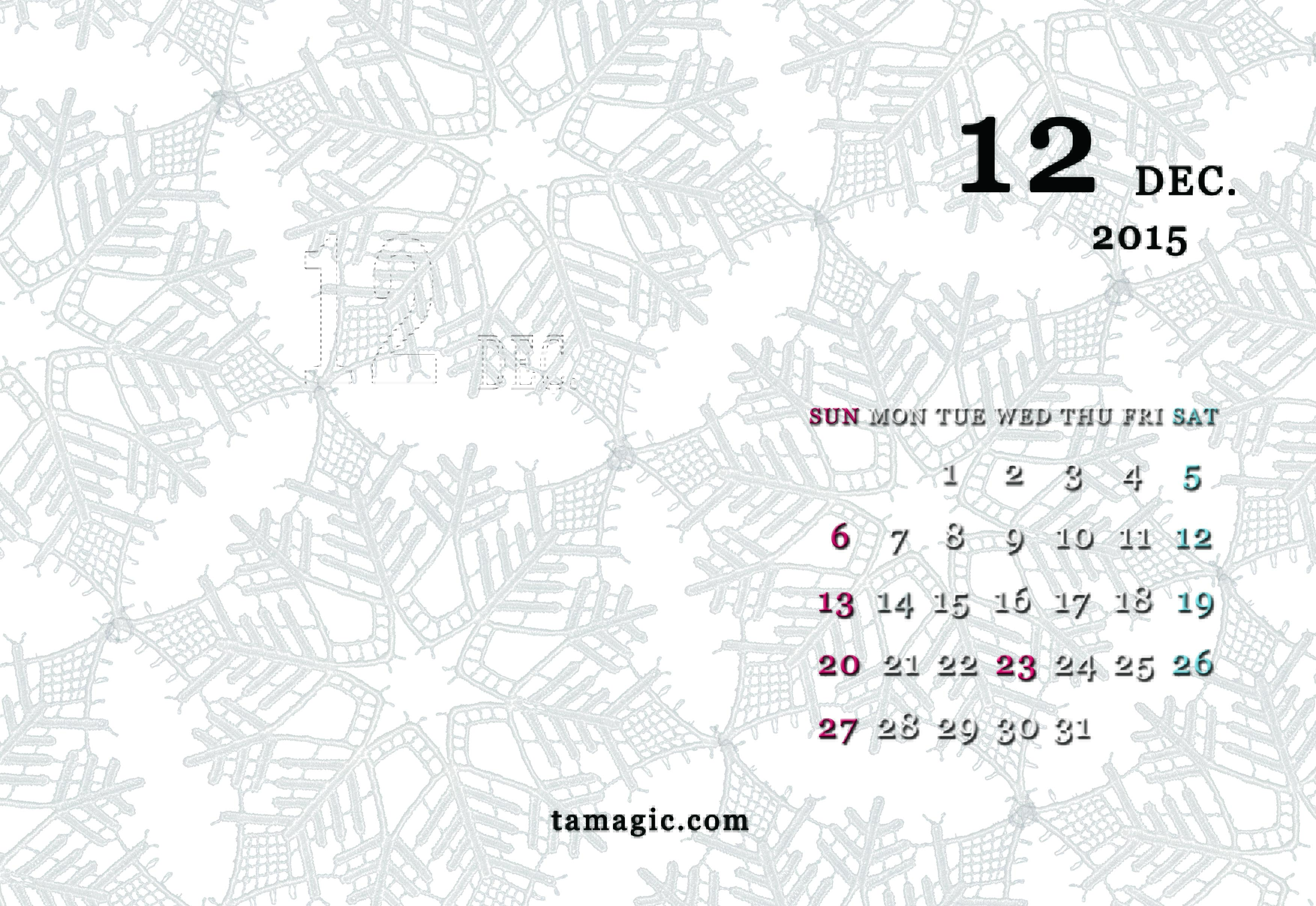 12月デスクトップカレンダー Tamagicのphotoblog