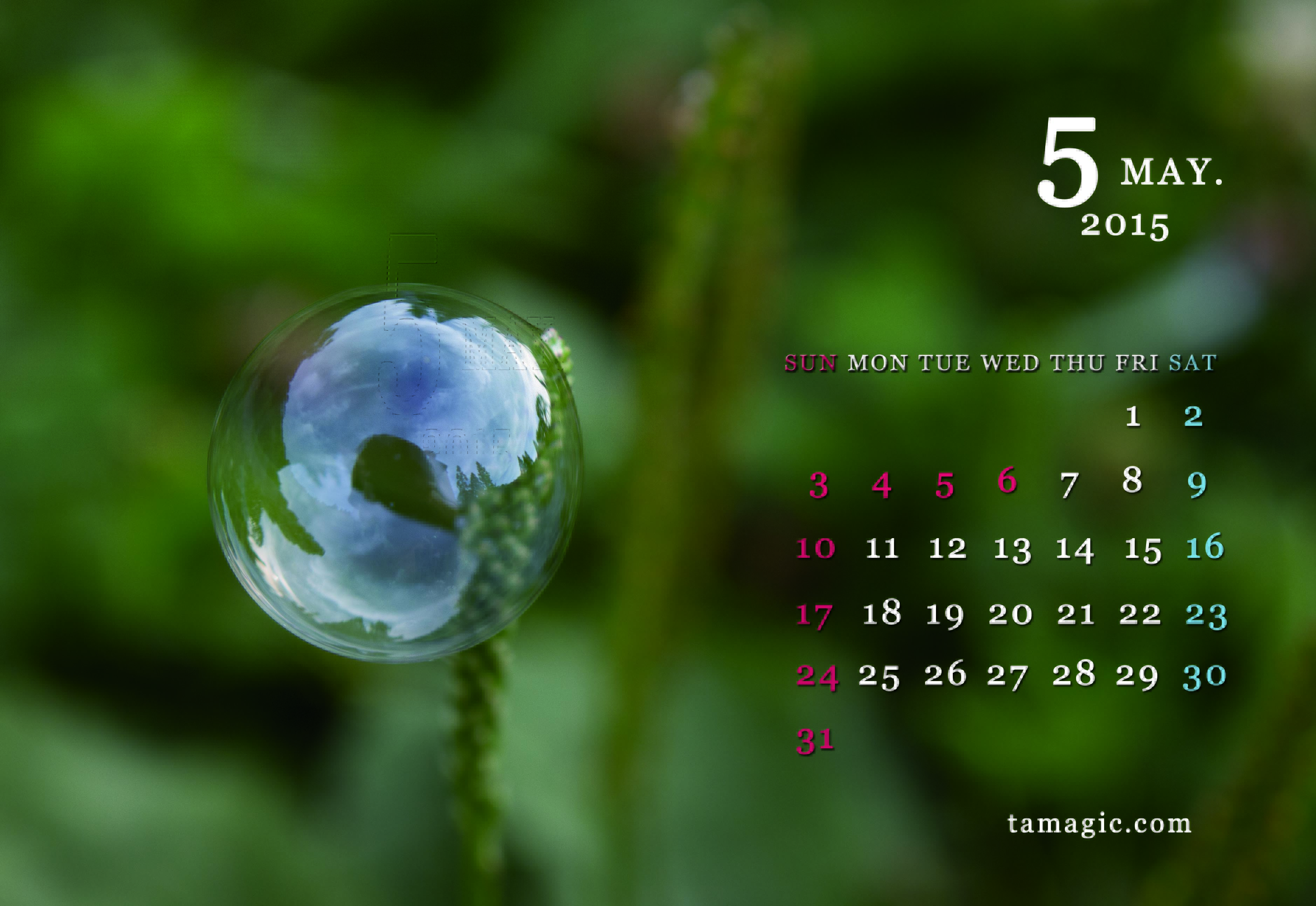 5月デスクトップカレンダー Tamagicのphotoblog