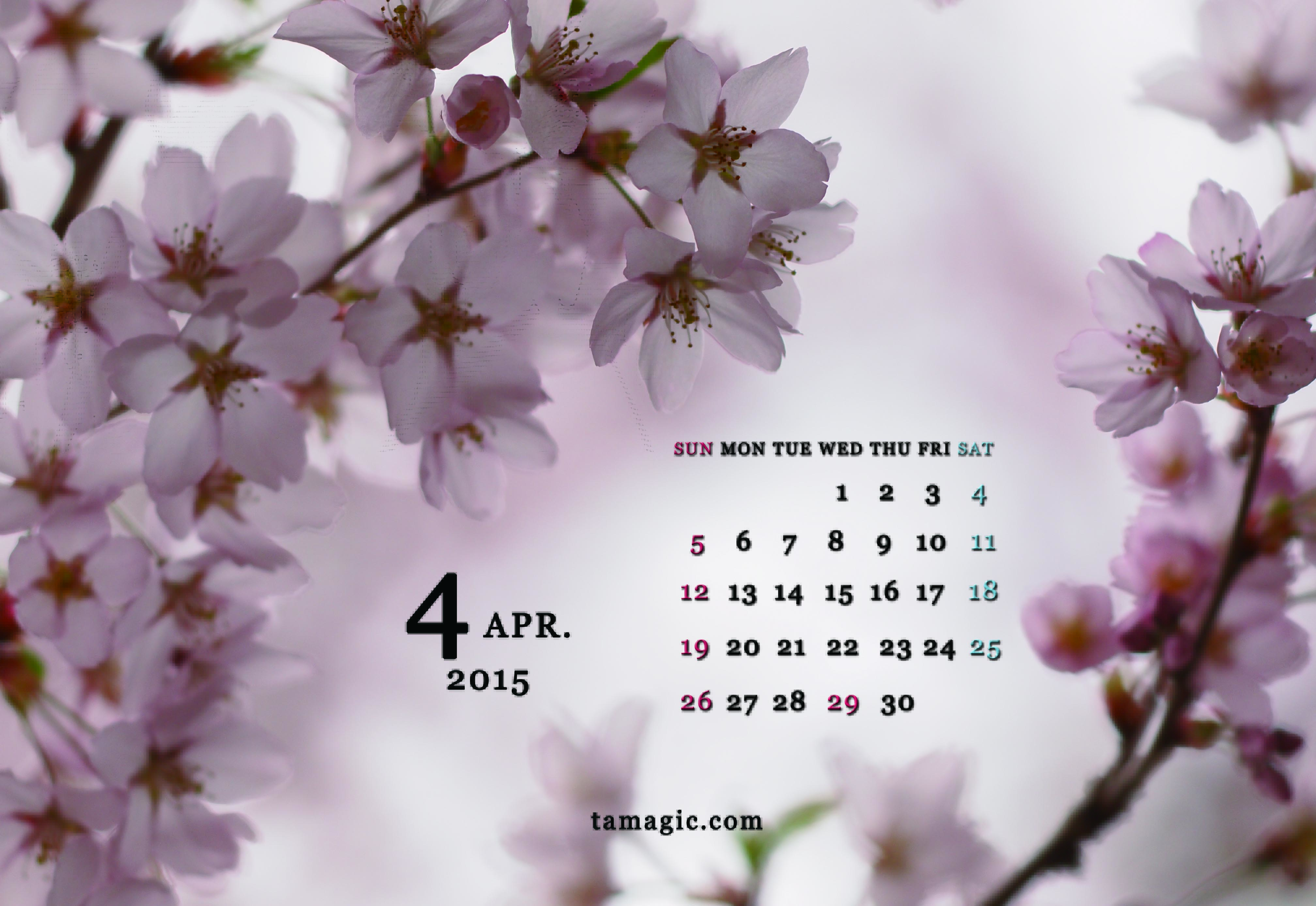 4月デスクトップカレンダー Tamagicのphotoblog